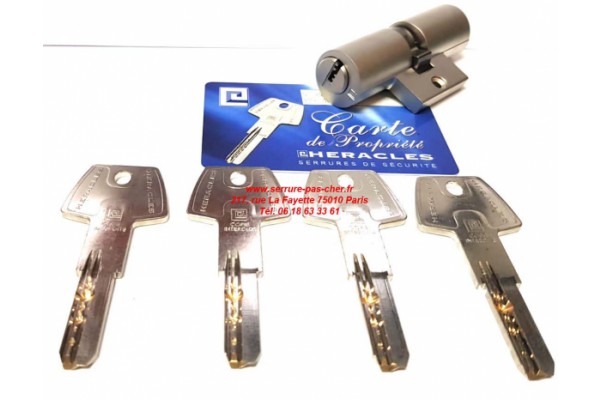 bricard supersurete monopoint
